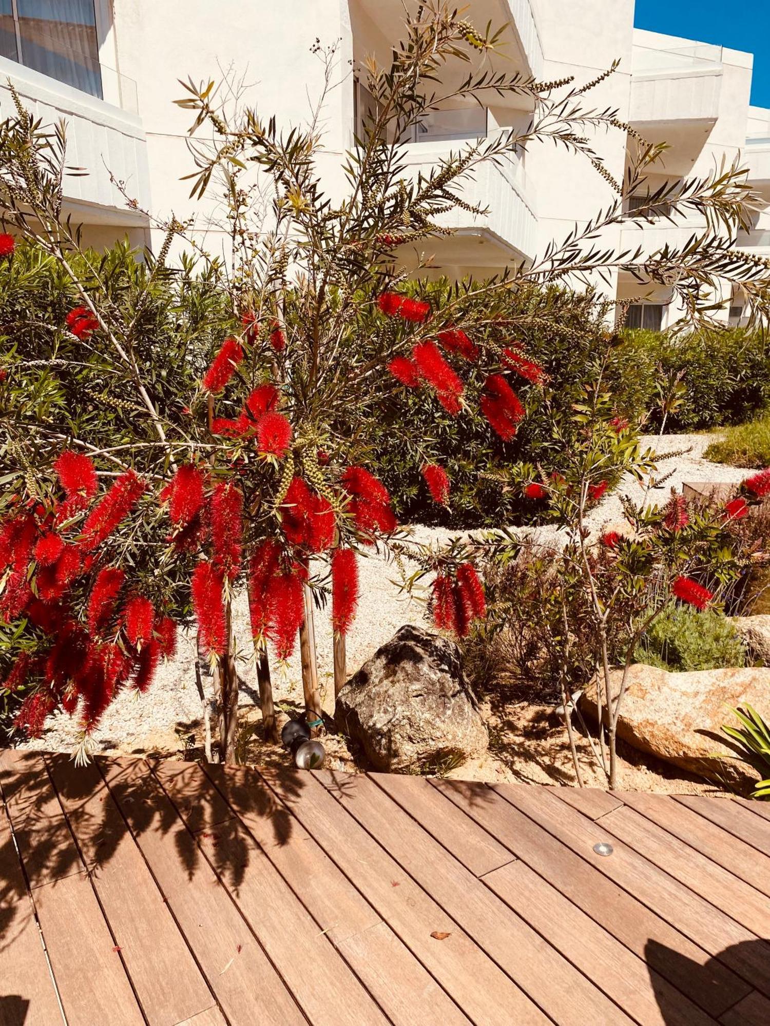 Calvi Hotel 외부 사진